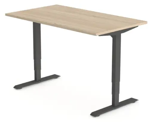 Elektrisch zit-sta frame (enkel)